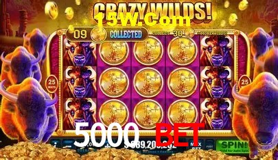 5000 Bet